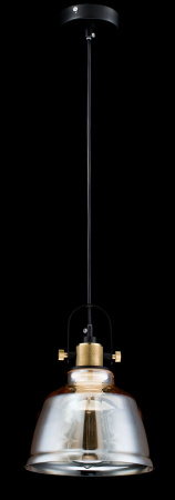 Подвесной светильник 1*E27 40Вт Черный IP20 Irving T163-11-R Maytoni