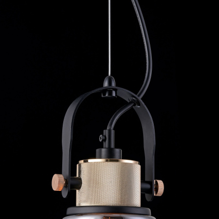 Подвесной светильник 1*E27 40Вт Черный IP20 Irving T163PL-01C Maytoni