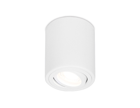 Накладной поворотный точечный светильник TN225 WH белый GU5.3 D80*100 Ambrella Light