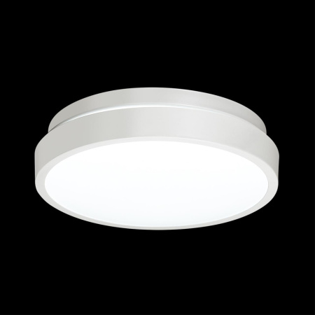 Св-к пластик/белый LED 12Вт 4000K D200 IP43 SMALLI SONEX