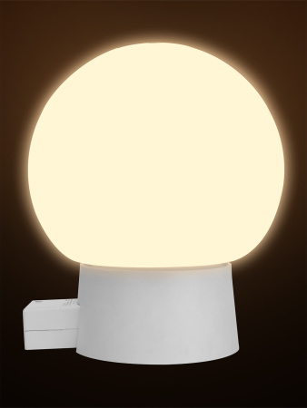 Светильник серии «Интеллект» НББ 64-60-ДД с датчиком движения TDM