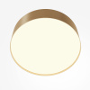 Потолочный светильник LED 24Вт Матовое Золото IP20 Ceiling & Wall C032CL-24W3K-RD-MG Technical Maytoni