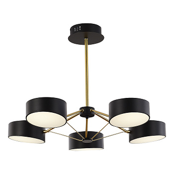 Светильник потолочный Черный, Золотистый/Черный LED 5*10Вт SLE6005-402-05 EVOLUCE