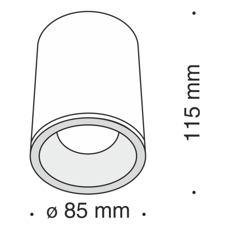 Потолочный светильник 1*GU10 50Вт Черный IP65 Alfa C029CL-01B Technical