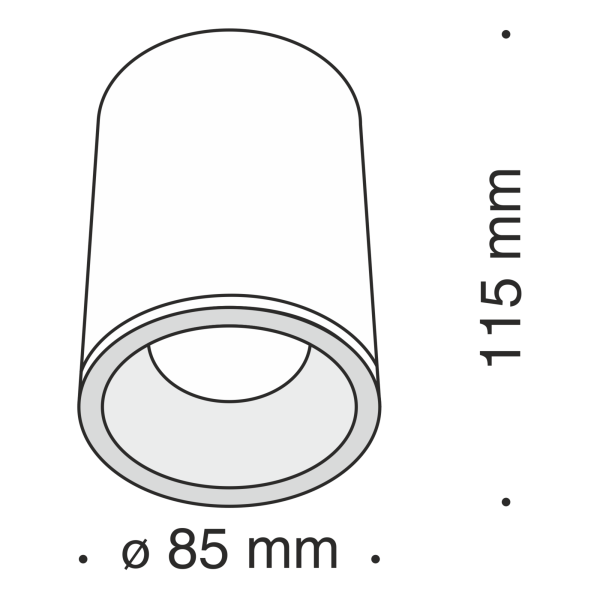 Потолочный светильник 1*GU10 50Вт Черный IP65 Alfa C029CL-01B Technical