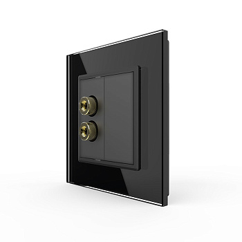 Розетка акустическая SOUND Черная Livolo