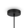 Подвесной светильник 1*E27 40Вт Черный IP20 Roots MOD191PL-01W Maytoni