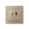 Розетка USB type C+A с блоком питания 36W Livolo 1 пост Золотая VL-C7VUA18W.UC18W-2AP