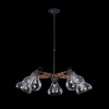 Люстра 5*E27 60Вт Черный IP20 Lorenza FR4171-PL-05-B Freya