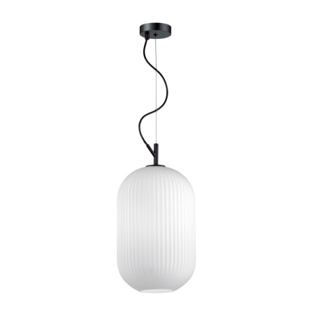 Подвес E27 60W ROOFI белый/черный B ODEON LIGHT