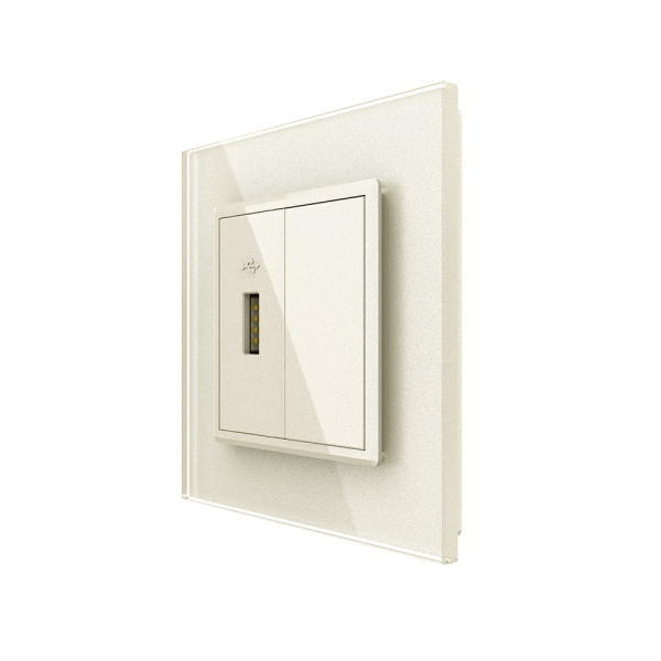 Розетка с одним USB type-A, блоком питания 5В 2.1А 1 пост, цвет жемчужный Livolo Розетка с одним USB type-A, блоком питания 5В 2.1А 1 пост, цвет жемчужный Livolo