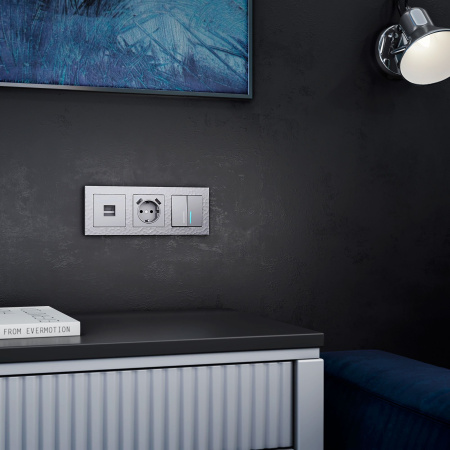 Телефонная розетка RJ-11 (серебряный) СУ IP20 Werkel