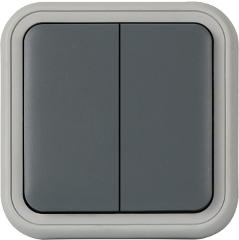 Donel W55 Рамка с клавишей для скрытой установки переключателя двухклавишного, серый, IP55, серия (тип) DIP55