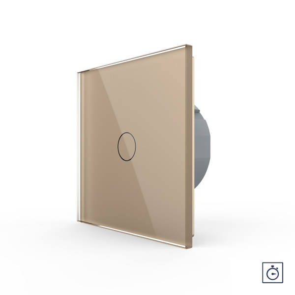 Сенсорный выключатель с таймером 1 клавиша 1 модуль Золотой Livolo