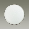 Св-к пластик/белый/серебристый LED 48Вт 3000-6000K D390 IP43 пульт ДУ GETA SILVER SONEX