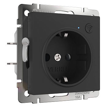 Умная встраиваемая розетка с заземлением с защитными шторками черная СУ IP20 Werkel