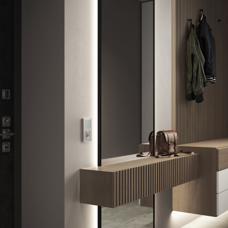 Platinum Рамка на 2 поста алюминий Werkel