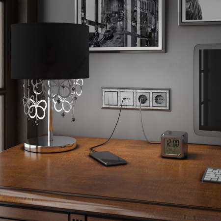 Встраиваемые механизмы Розетка СУ 1 мест. с зазем. 16А серебряный IP20 Werkel