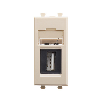 USB 2.0 розетка модульная, тип А-А, "Avanti", "Ванильная дымка", 1 модуль DKC