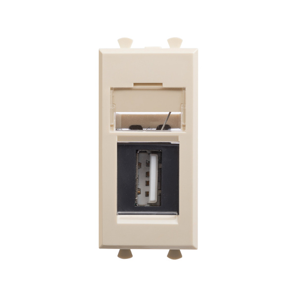 USB 2.0 розетка модульная, тип А-А, "Avanti", "Ванильная дымка", 1 модуль DKC