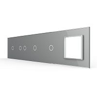 Панель для 4-х сенсорных выключателей и розетки, 5 клавиш (1+2+1+1), цвет серый, стекло Livolo