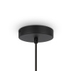 Подвесной светильник 1*E27 40Вт Черный IP20 Roots MOD197PL-01W Maytoni