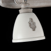 Светильник спот 2*GU10 35Вт Серый IP20 Agnes SP289-CW-02-BG Maytoni