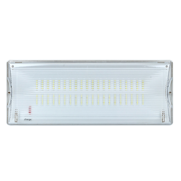 Светильник аварийного освещения SAFEWAY-40P пост, действия LED PROxima EKF