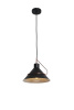 Подвесной светильник 1*E27 60Вт Черный IP20 Amis FR5025PL-01B Freya