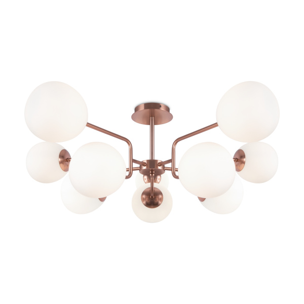 PHOTO_MOD221PL-10G_on_w_standard_(1)