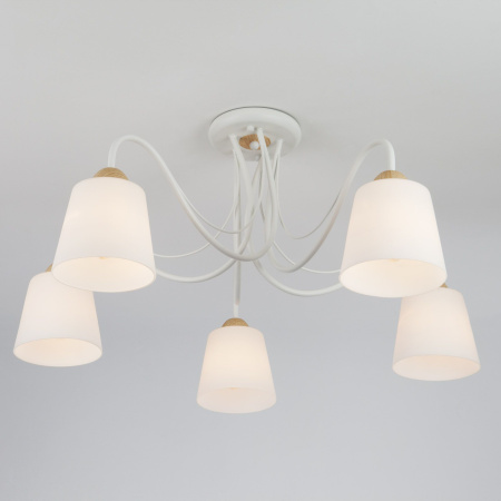 Потолочная люстра с плафонами 5*E27 40Вт белый IP20 Betty (70062/5 белый) Eurosvet