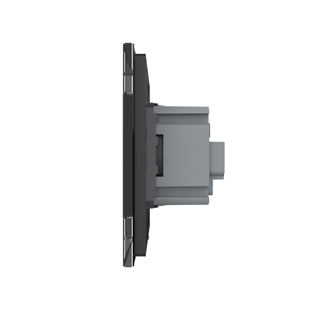 Розетка 1 модуль Черная Livolo