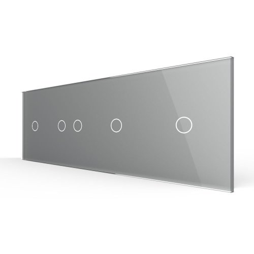 Панель для четырех сенсорных выключателей, 5 клавиш (1+2+1+1), цвет серый, стекло Livolo