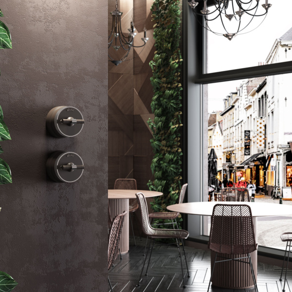 Выключатель на 4 положения двухклавишный (мокко матовый/хром) Vintage ОУ IP20 Werkel