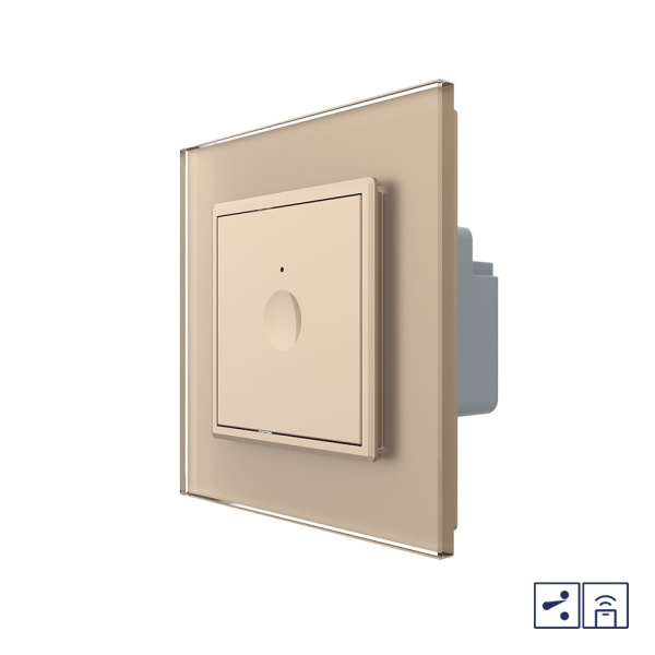 Одноклавишный проходной сенсорный выключатель Module с функцией радиоуправления, цвет золотой Livolo