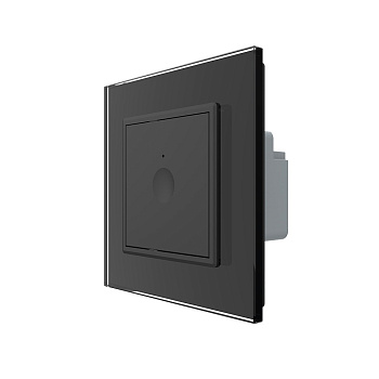 Одноклавишный сенсорный выключатель Module, цвет черный Livolo