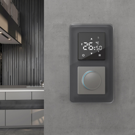 Elite Рамка из стекла на 2 поста графит Werkel