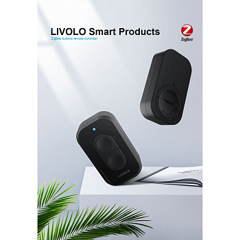 Двухклавишная кнопка управления ZigBee Livolo