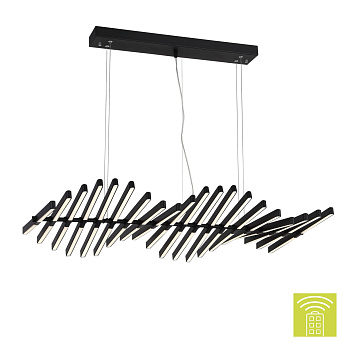 Люстра подвесная Черный/Черный, Белый LED 20*5Вт 3000-6000К SLD001.403.20 ST LUCE