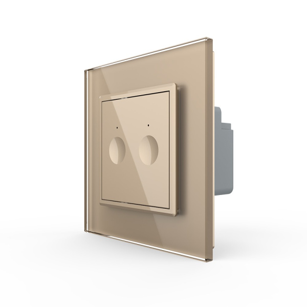 Двухклавишный сенсорный выключатель Module, цвет золотой Livolo