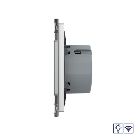 Сенсорный радиоуправляемый диммер Quadro 1 клавиша 1 пост Серый Livolo