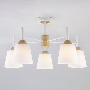 Потолочная люстра с плафонами 5*E27 60Вт белый IP20 Fresco (70085/5 белый) Eurosvet