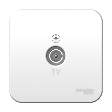 BLANCA Розетка открытый TV . белый IP20 Schneider Electric