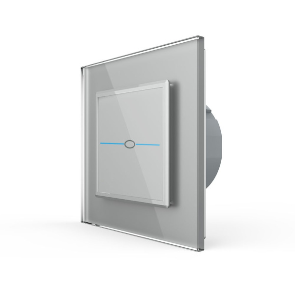 Сенсорный выключатель Quadro 1 клавиша 1 пост Серый Livolo