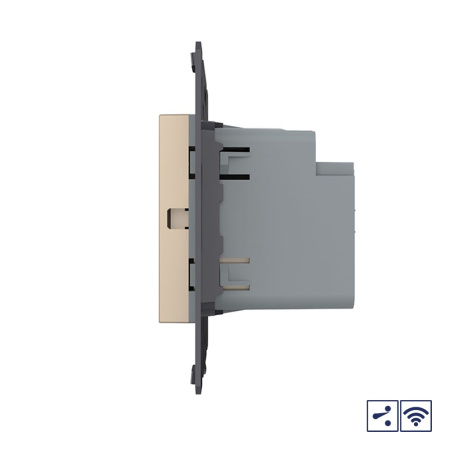 Одноклавишный проходной сенсорный выключатель Module с радиоупр., цвет золотой (механизм) Livolo