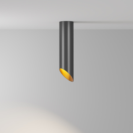 Потолочный светильник 1*GU10 12Вт Черный с Золотом IP20 Ceiling & Wall C044CL-01-25GU10-B Technical Maytoni