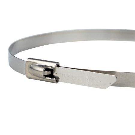 Хомут AISI 304 из нержавеющей стали, 4,6x260 (100 шт) FlexLock PROxima EKF