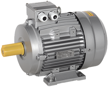 Электродвигатель асинхронный трехфазный АИС 160MB2 660В 15кВт 3000об/мин 1081 DRIVE IEK