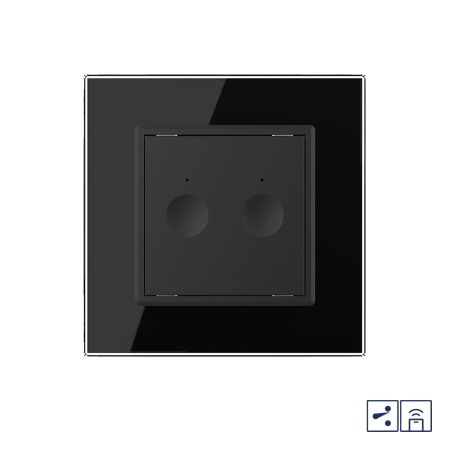 Двухклавишный проходной сенсорный выключатель Module с функцией радиоуправления, цвет черный Livolo