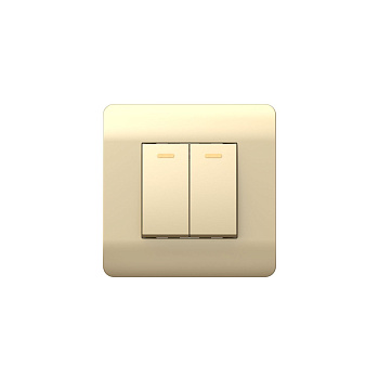 Выключатель 2-клавишный 10А, шампань NEW3-E CHINT